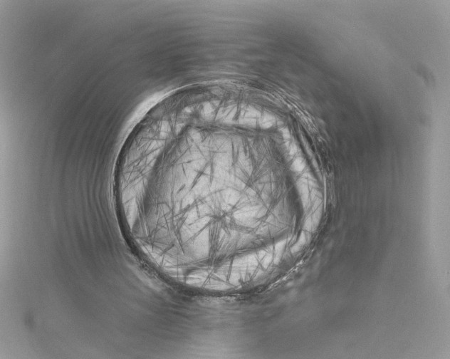 X0000115050147200911161555