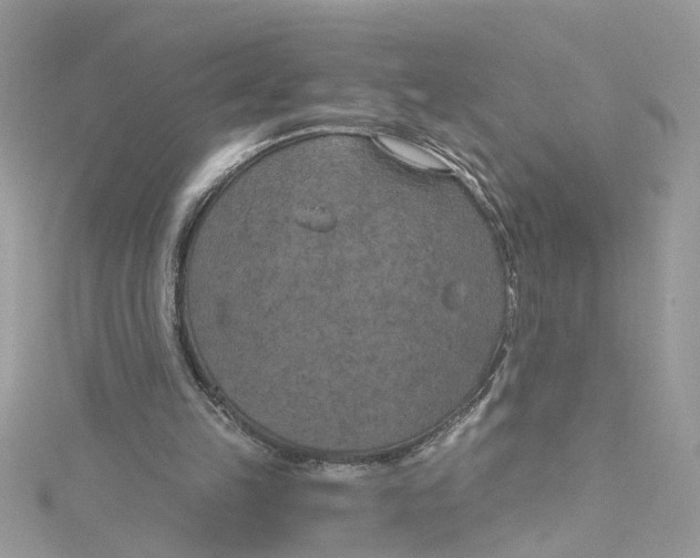 X0000115050149200911161555