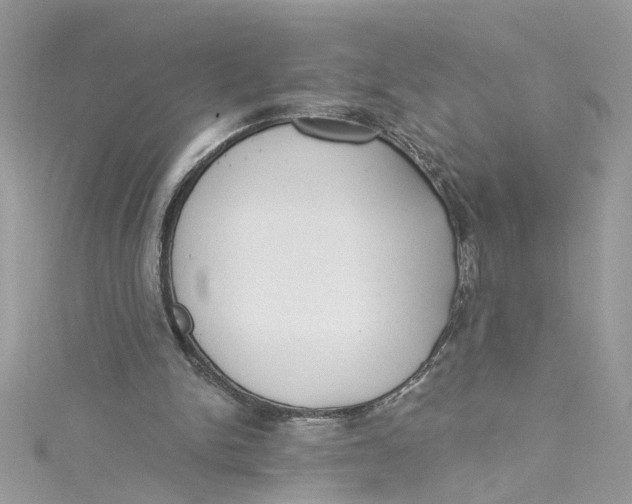 X0000115050150200911161555