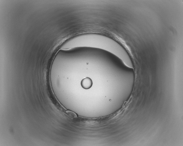 X0000115050154200911161555