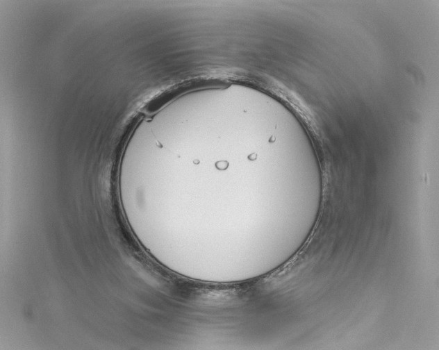 X0000115050155200911161555