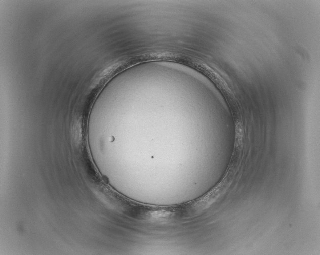 X0000115050158200911161555