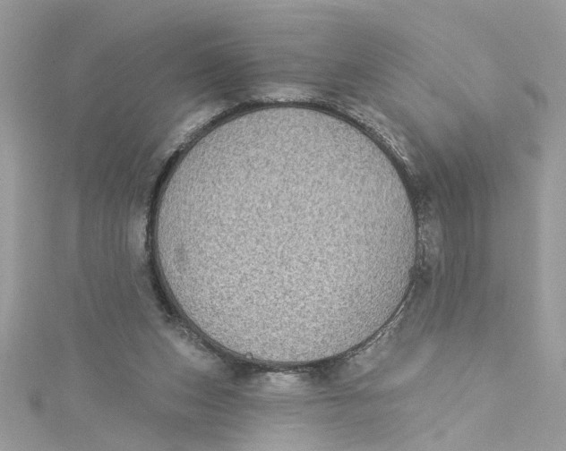 X0000115050159200911161555