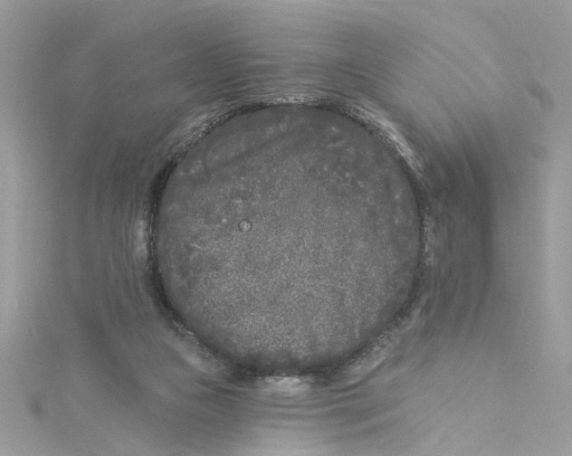 X0000115050161200911161555