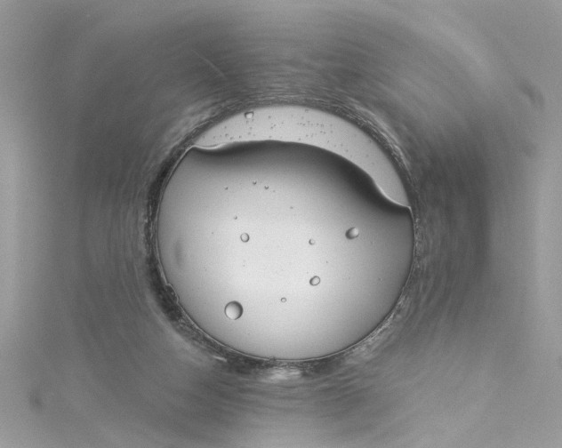 X0000115050162200911161555