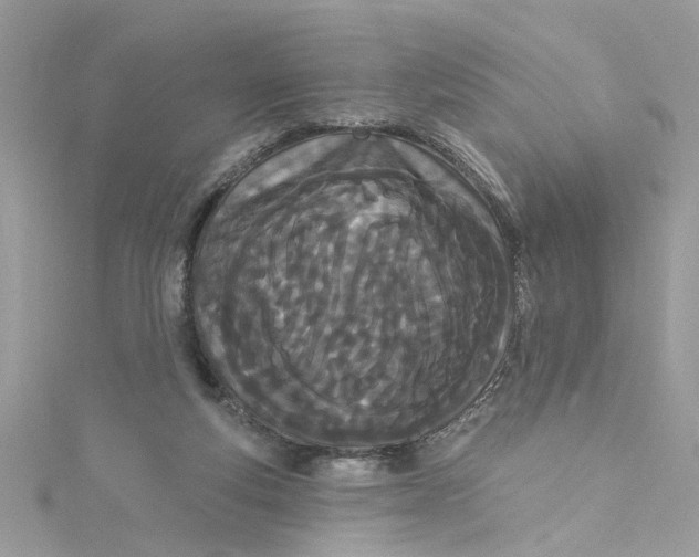 X0000115050163200911161555