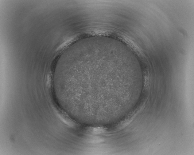 X0000115050165200911161555