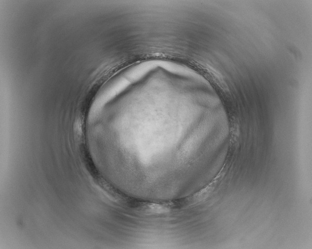 X0000115050166200911161555