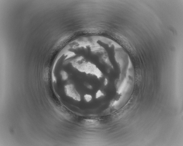 X0000115050167200911161555