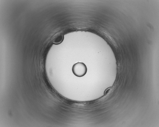 X0000115050170200911161555