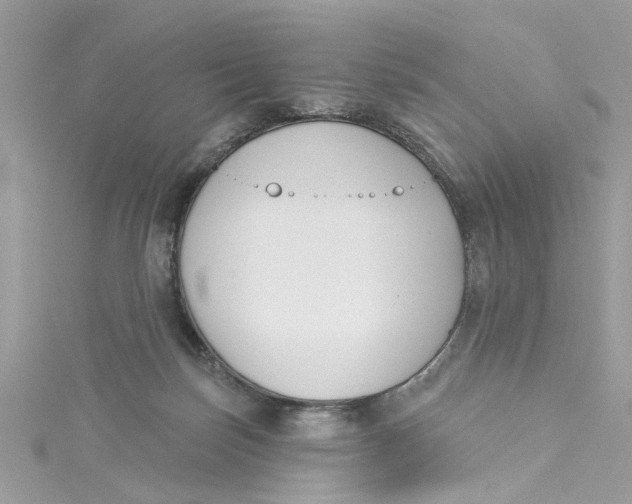 X0000115050171200911161555