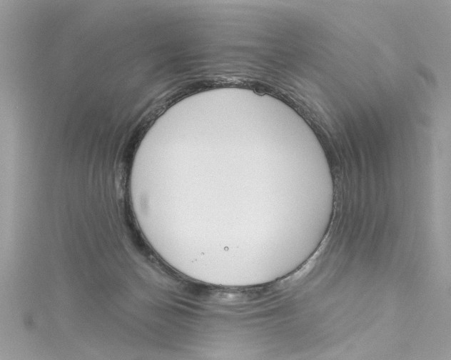 X0000115050174200911161555