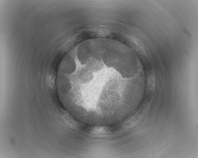 X0000115050177200911161555