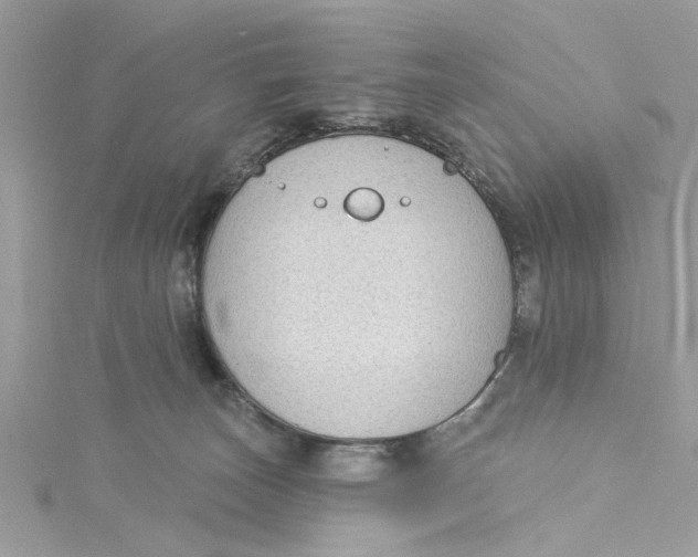 X0000115050179200911161555