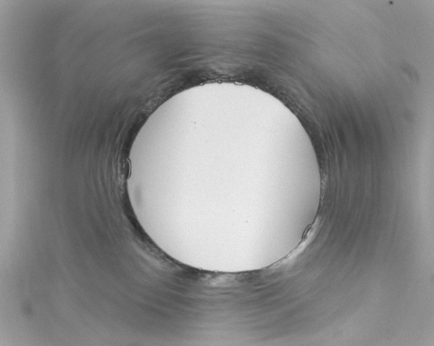 X0000115050186200911161555