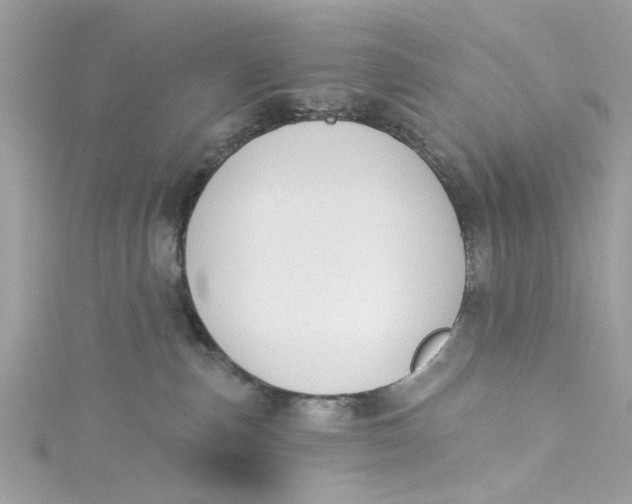 X0000115050187200911161555