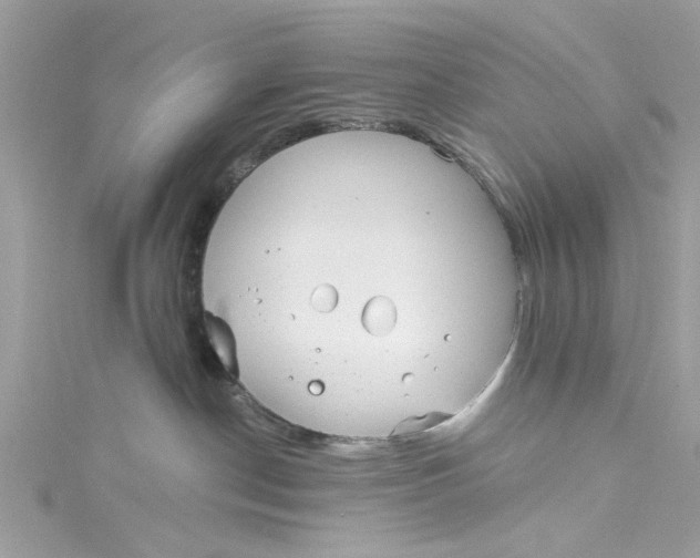 X0000115050190200911161555