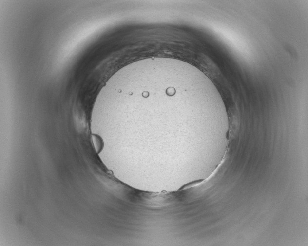 X0000115050191200911161555