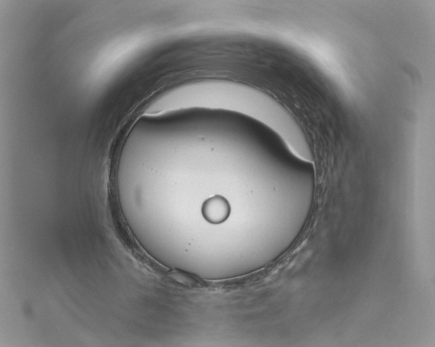 X0000115050194200911161555