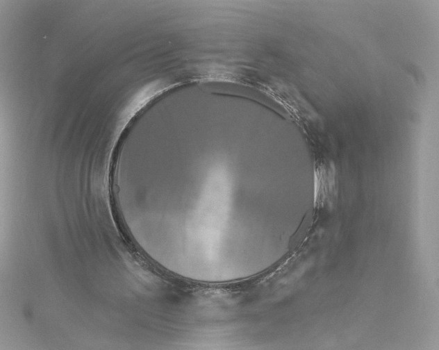 X0000115050195200911161555