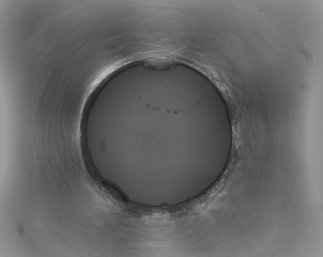 X0000115050196200911161555