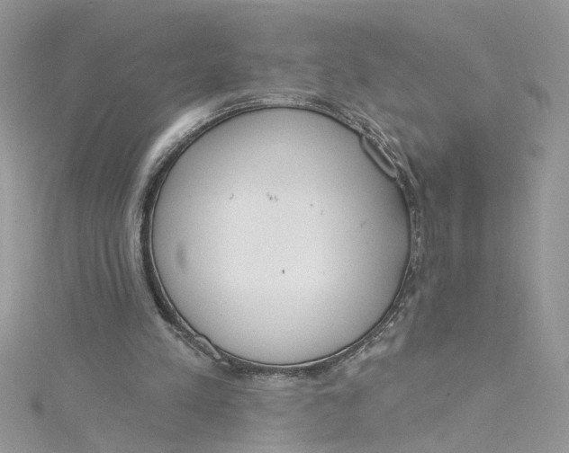 X0000115050197200911161554