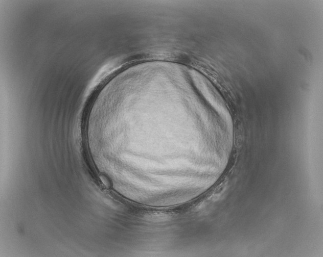 X0000115050198200911161554