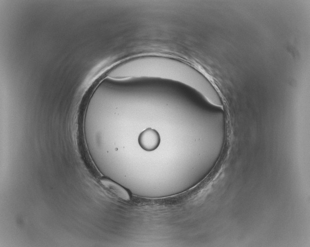 X0000115050199200911161554