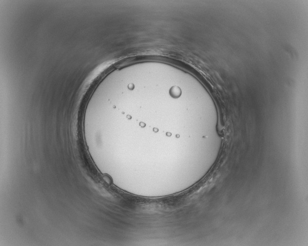 X0000115050200200911161554