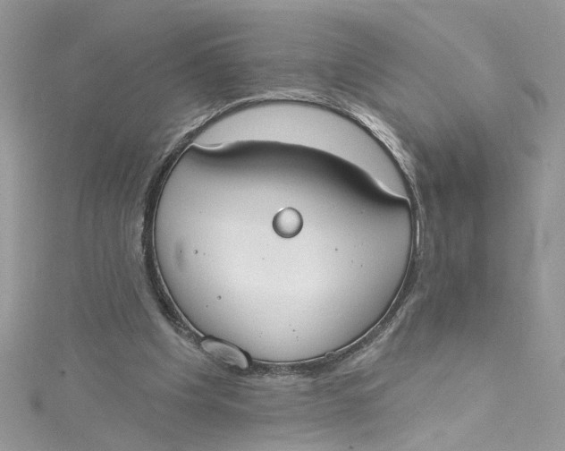 X0000115050201200911161554