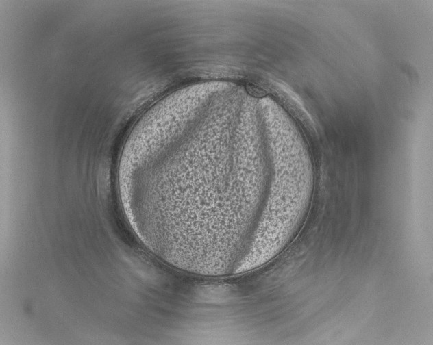 X0000115050202200911161554