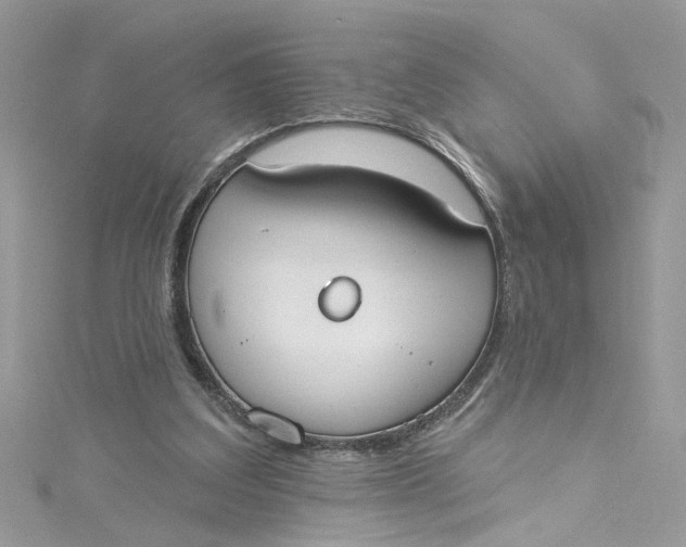 X0000115050203200911161554