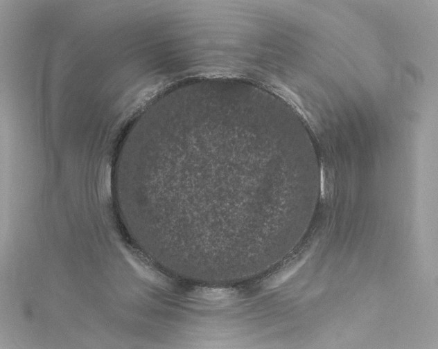 X0000115050205200911161554