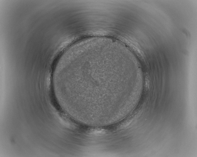 X0000115050206200911161554