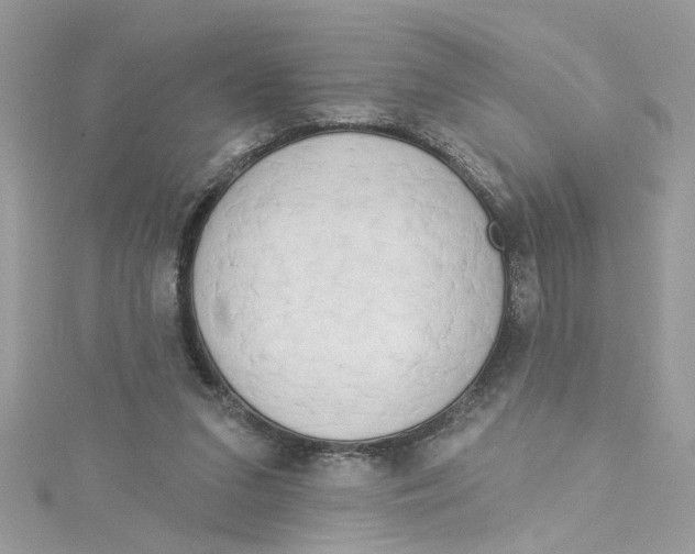 X0000115050207200911161554