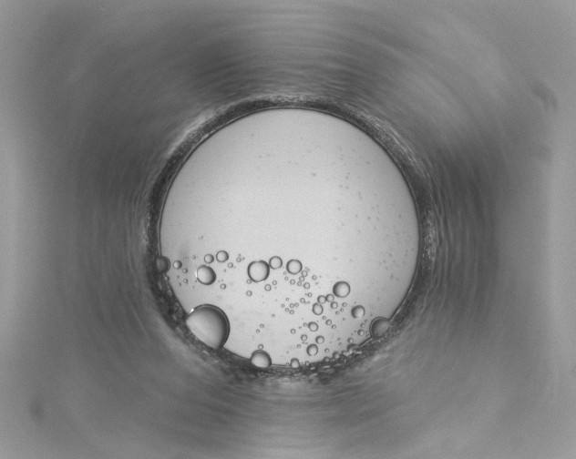 X0000115050208200911161554