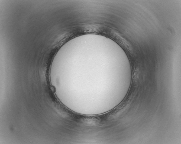 X0000115050209200911161554