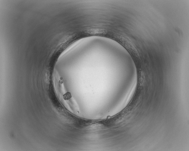 X0000115050210200911161554