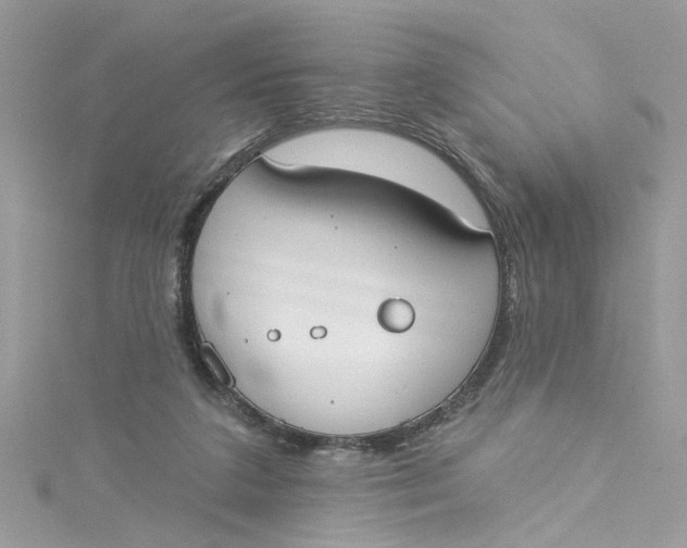 X0000115050211200911161554