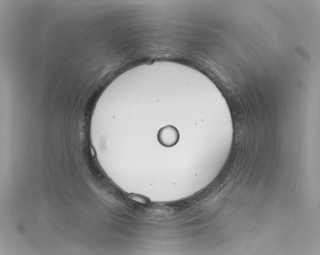 X0000115050215200911161554