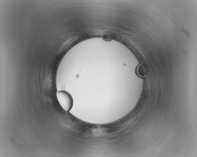 X0000115050216200911161554