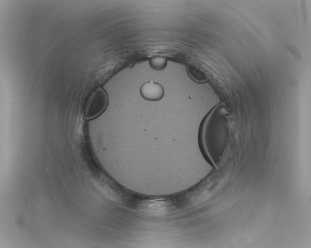 X0000115050219200911161554