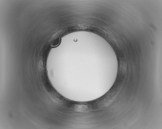 X0000115050220200911161554