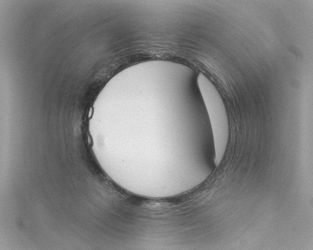 X0000115050221200911161554