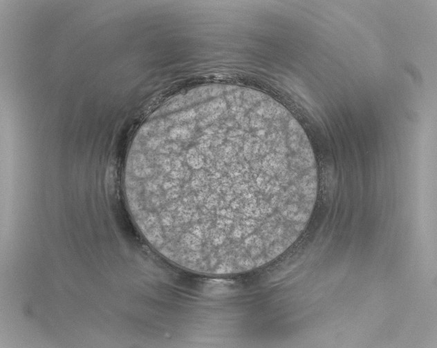 X0000115050222200911161554