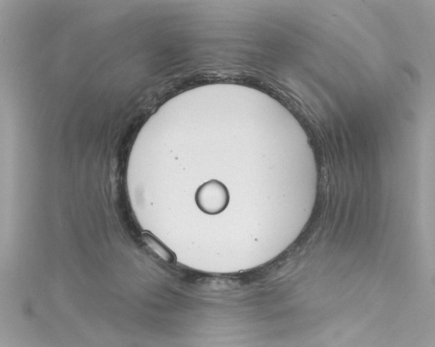 X0000115050223200911161554