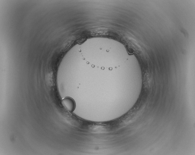 X0000115050224200911161554