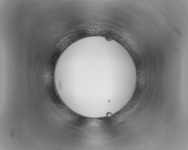 X0000115050226200911161554