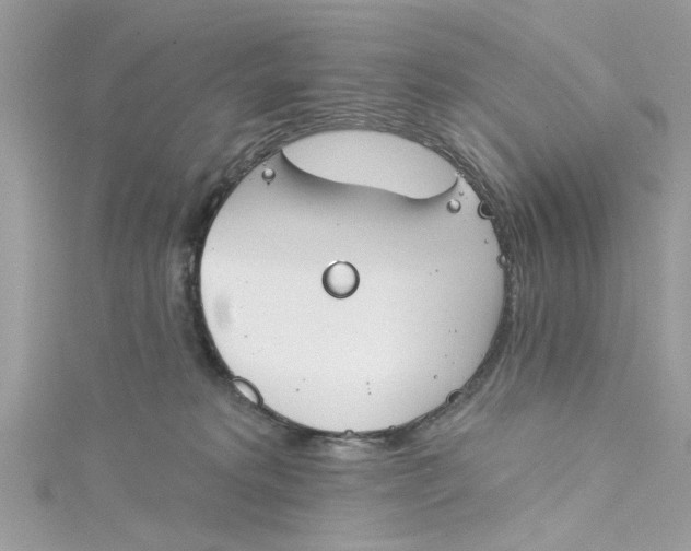 X0000115050229200911161554