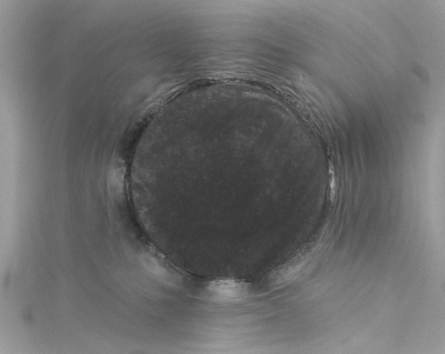 X0000115050231200911161554